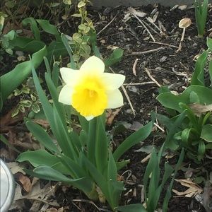 Meet your Posher, Judy